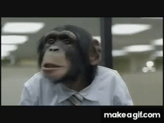 image.gif