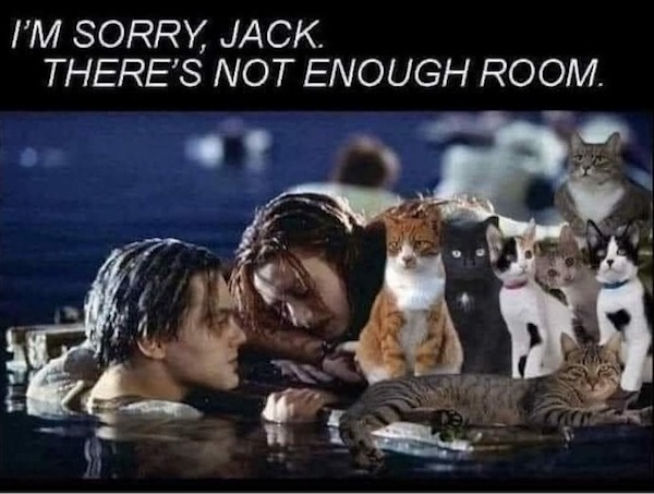 GRUMPY_29.jpeg