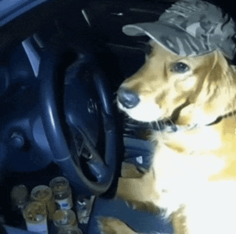 c0332c8.gif