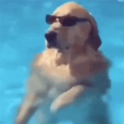 7403c8.gif