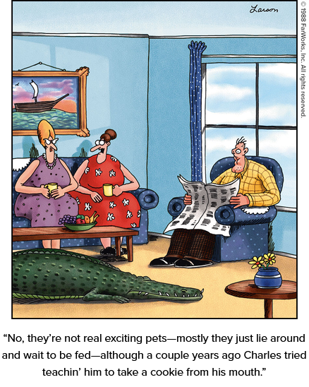 Pets.png