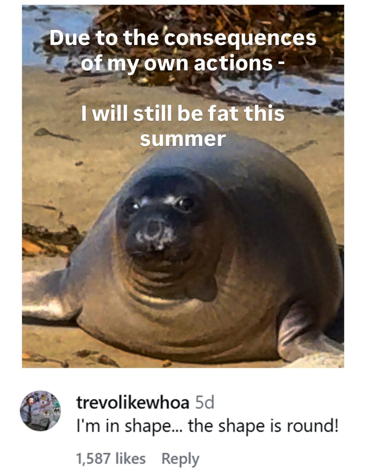 be-fat.jpeg