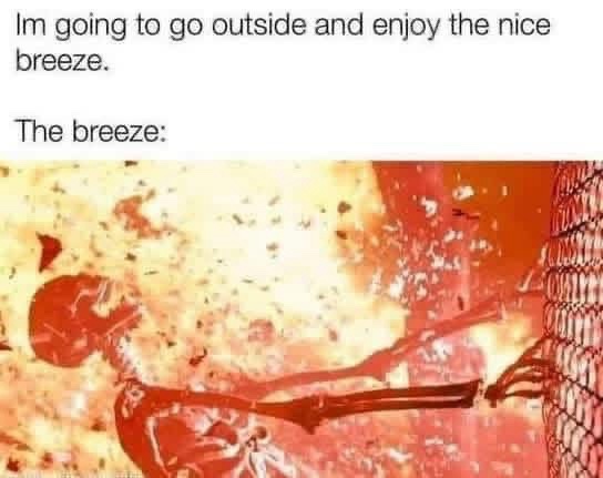 The-breeze.jpeg