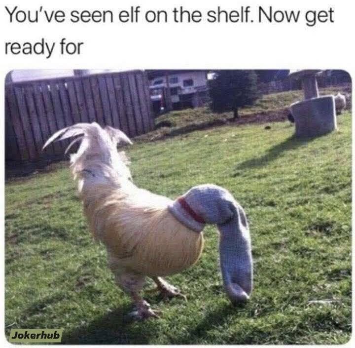 Elf-on-shelf.jpeg