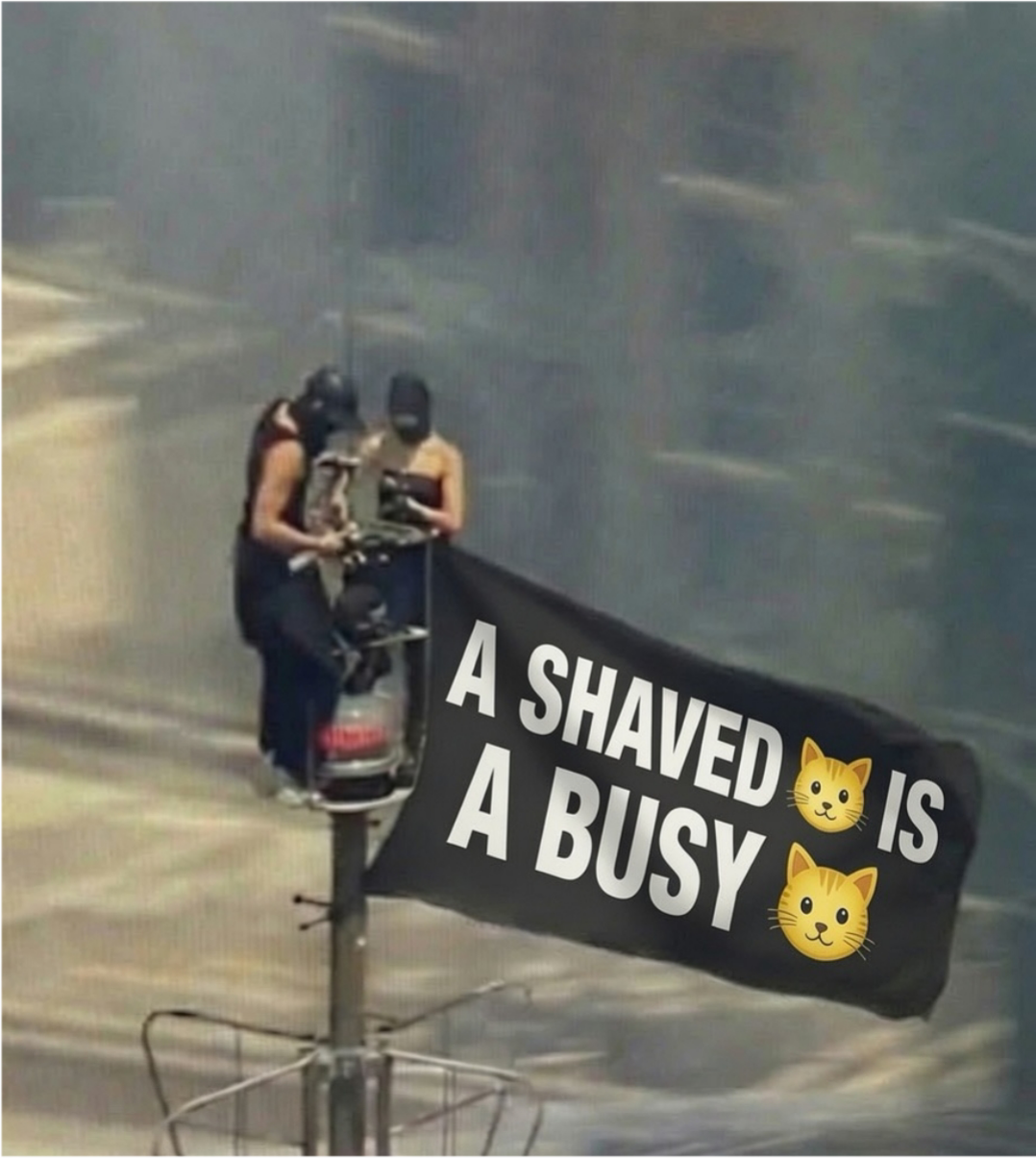 1000050999.png