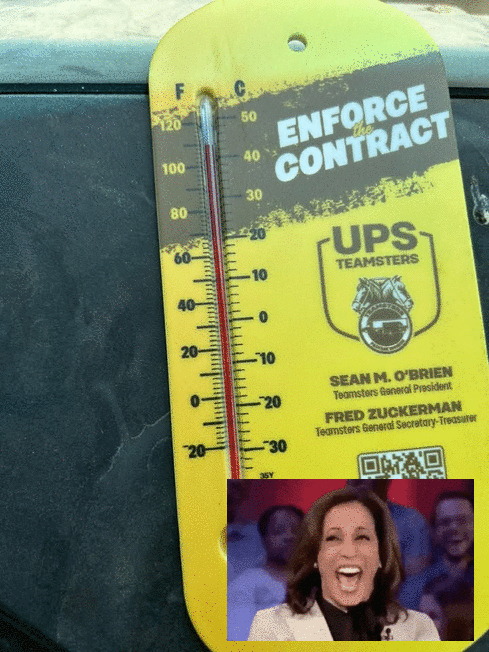 1000013892.gif