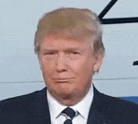 IMG_7393.gif