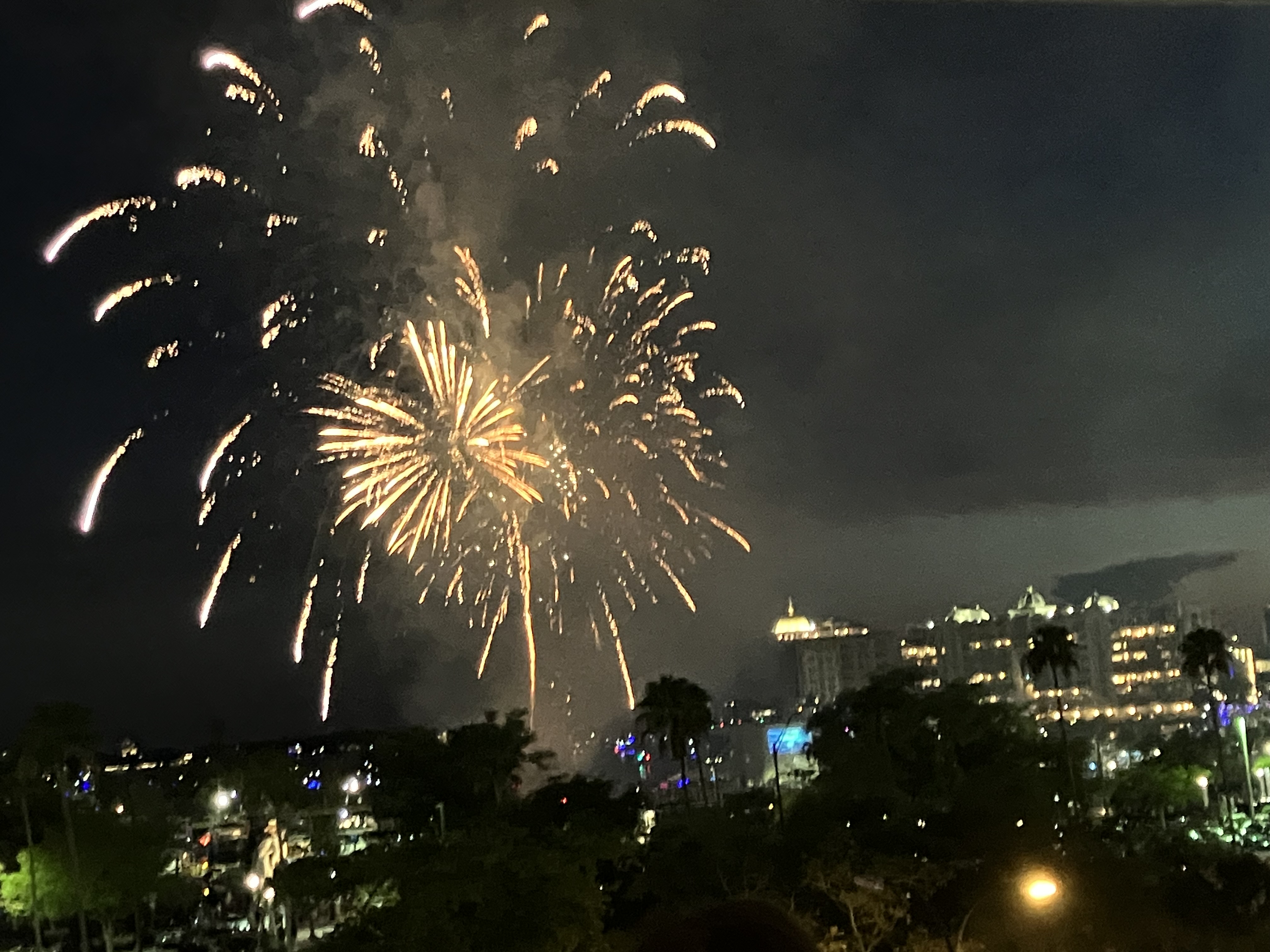 IMG_5991.jpeg