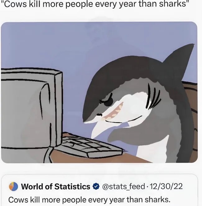 random-10.jpg