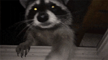 gifdump_4868_20.gif