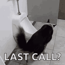 IMG_5160.gif