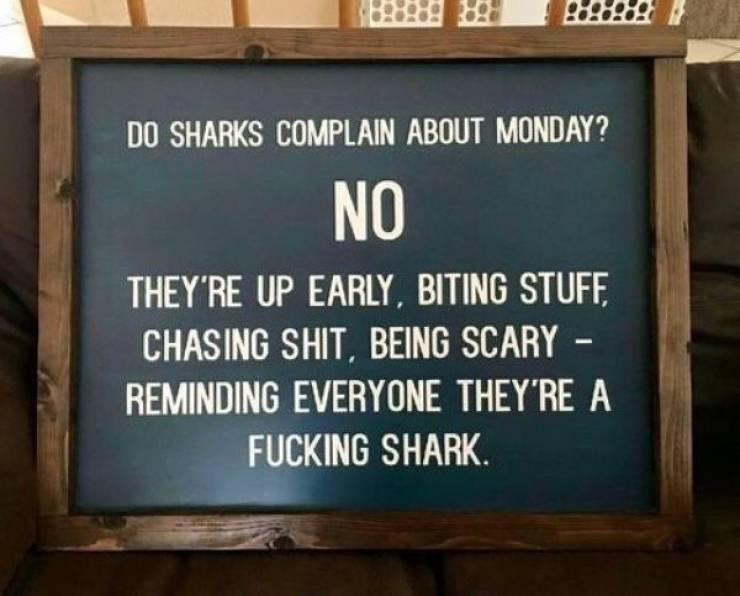 mondays_03.jpg