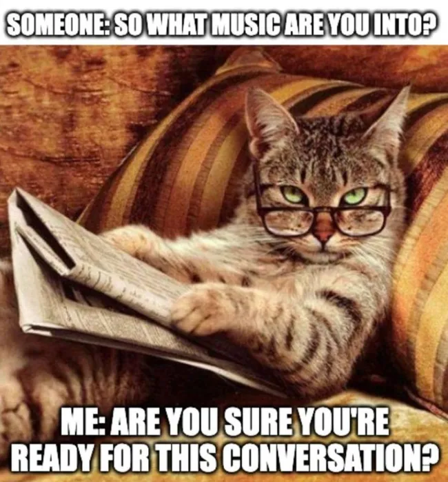 music-and-memes8.webp
