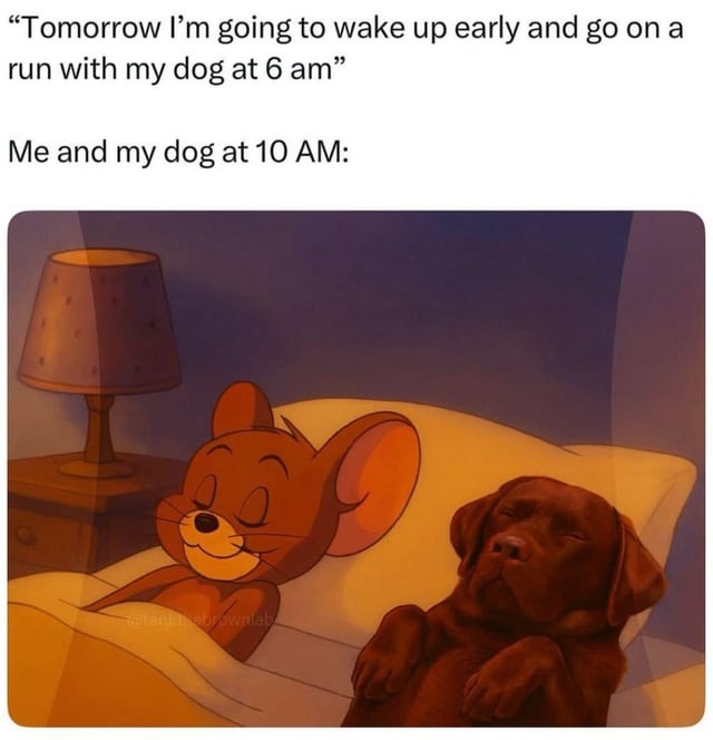 me-and-my-dog.jpeg