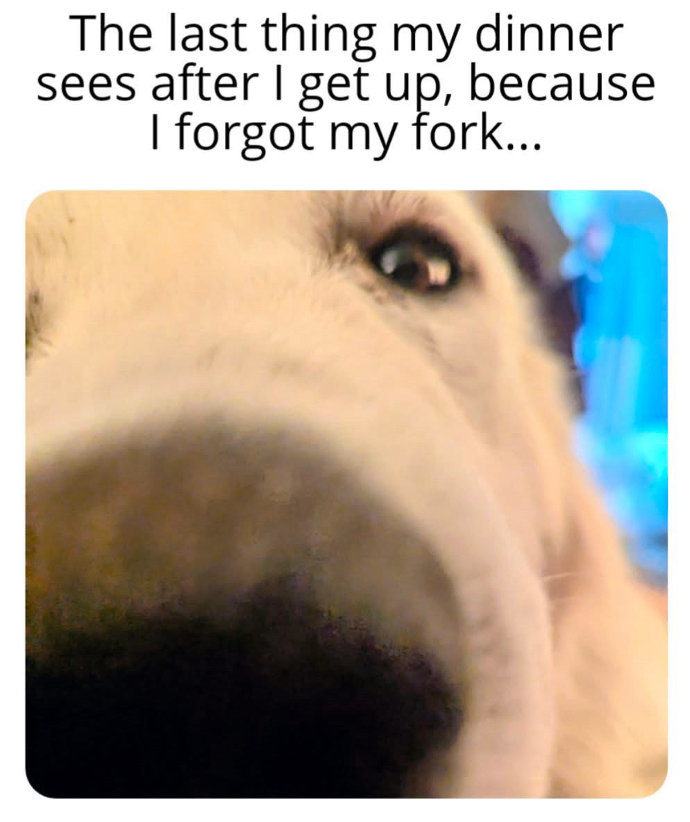 dinner-sees.jpeg