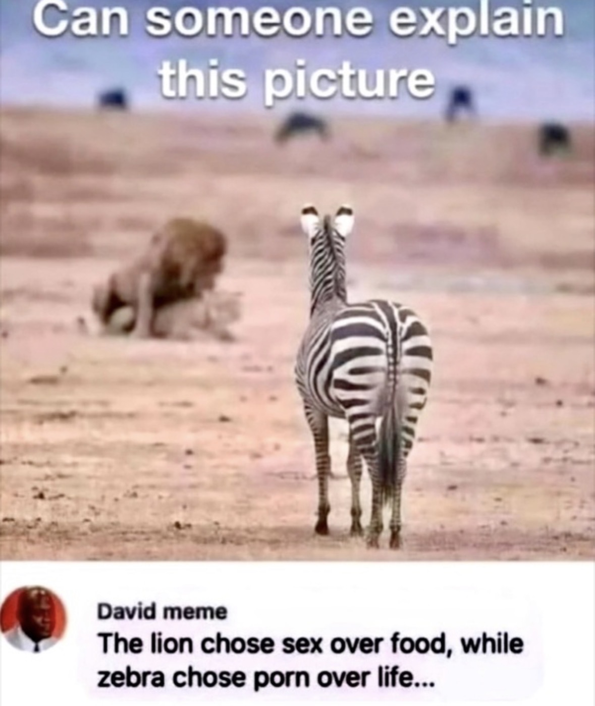 IMG_6318.jpeg