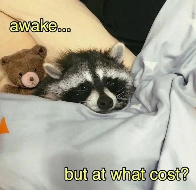 awake.jpg
