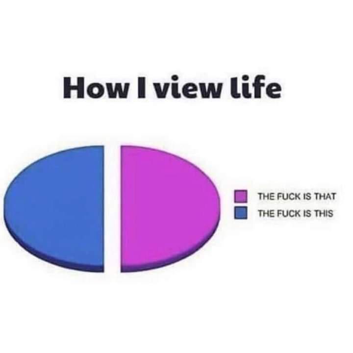 view-life.jpeg