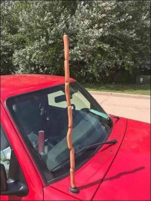 WTF-18.jpg