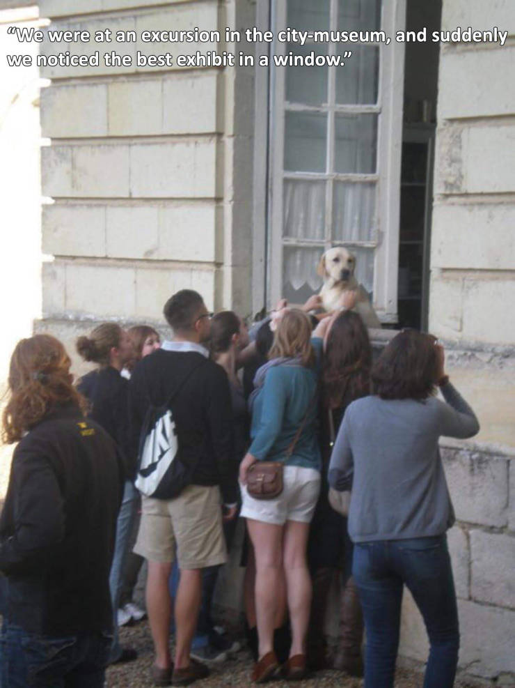 picdump_3080_07.jpg