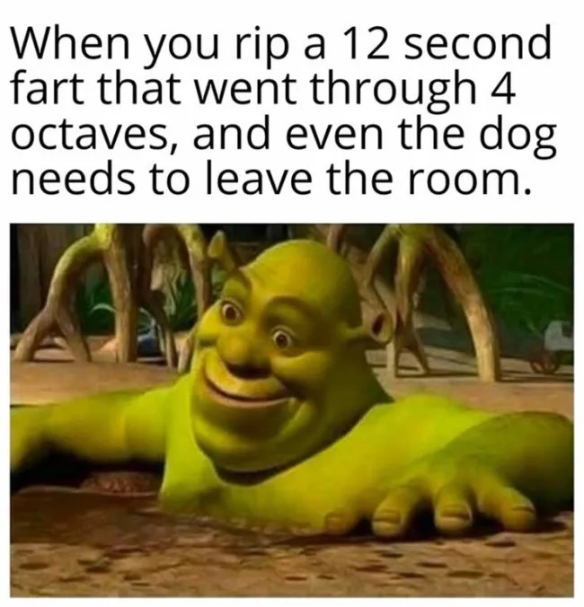 shrek-23.jpg