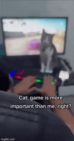 gifdump_547_20.gif