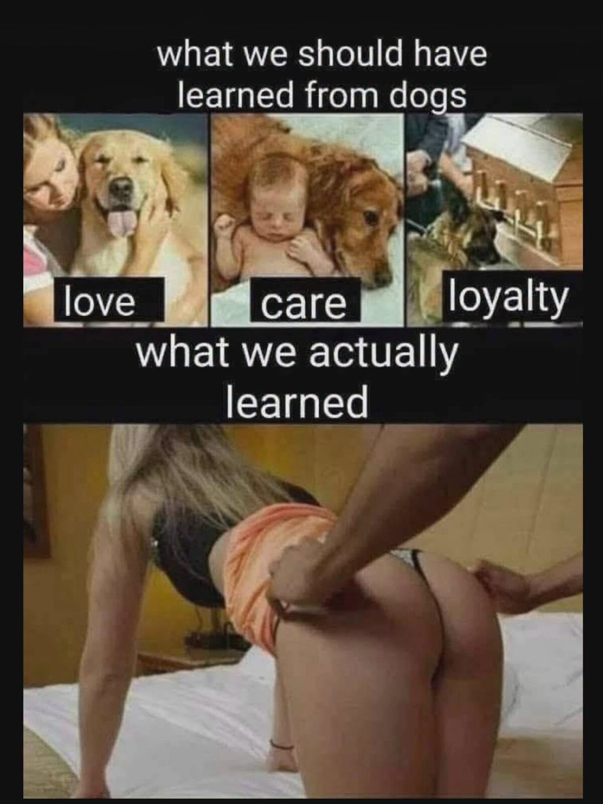 We-learned.jpeg
