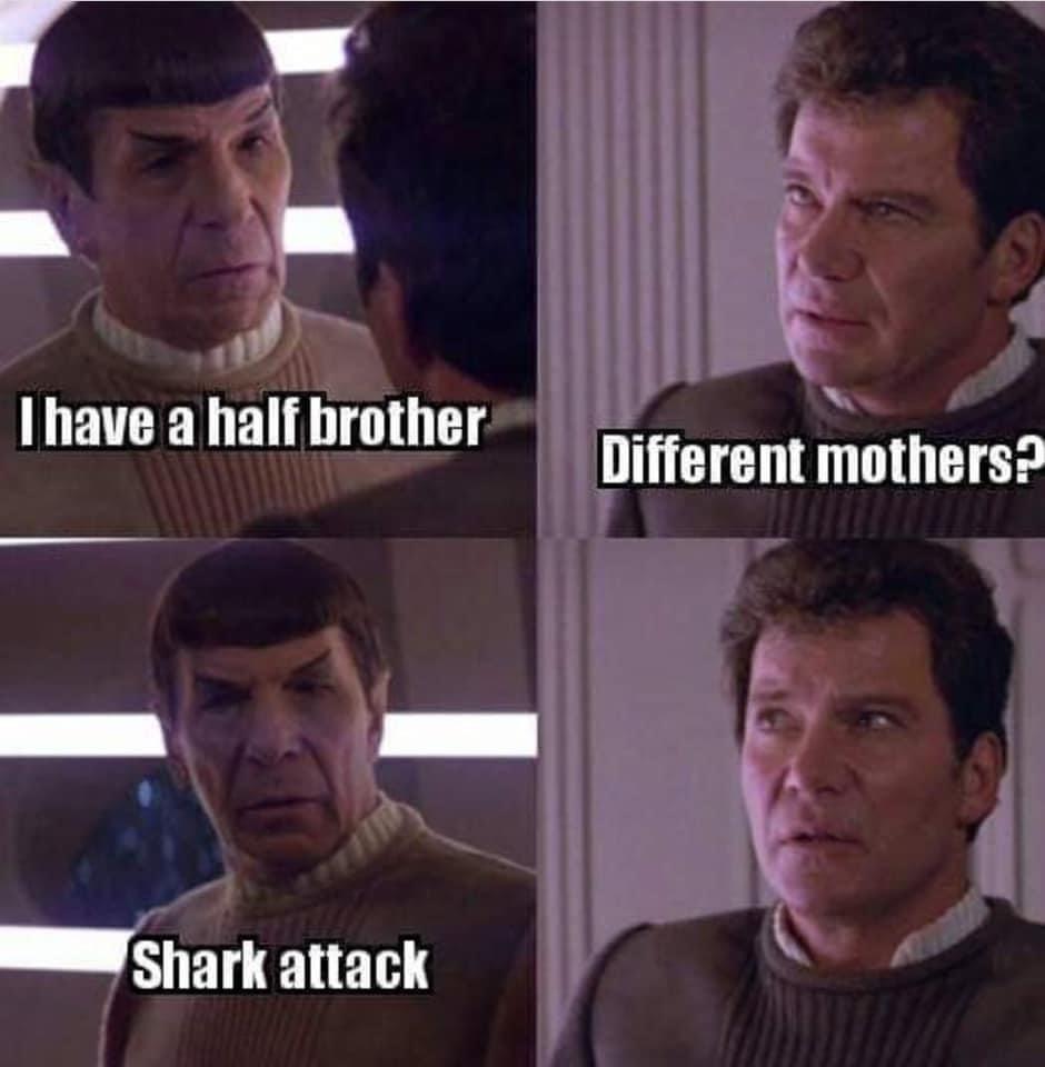 half-brothers.jpeg