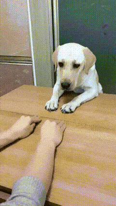 gifdump_627_24.gif