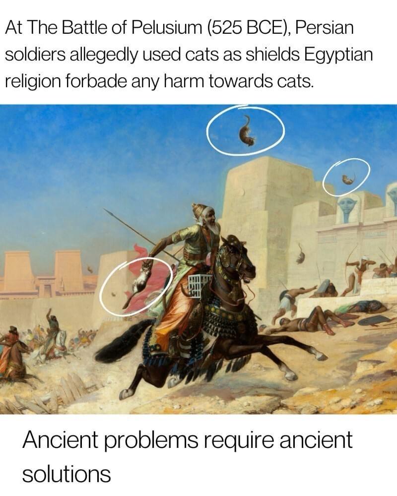 persian-soldiers.jpeg