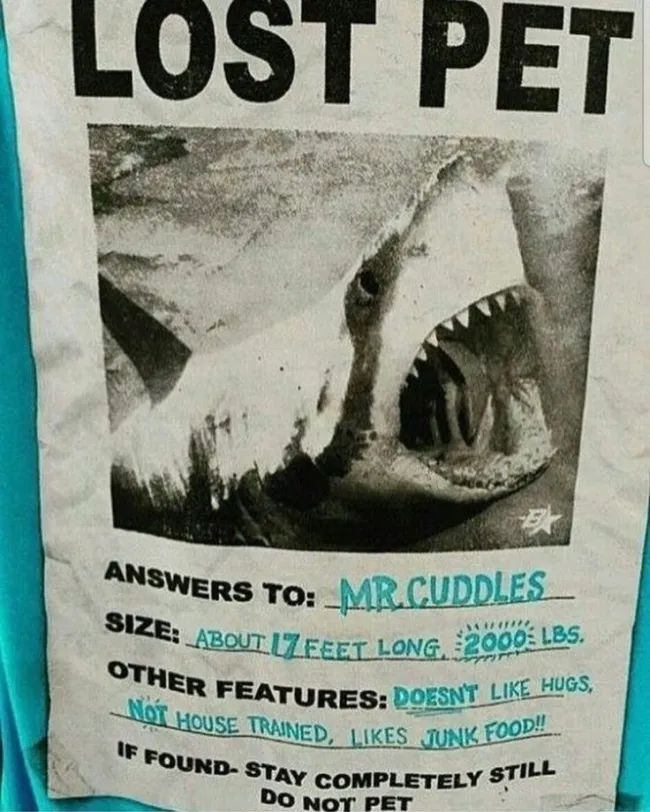 ocean-memes-24.webp