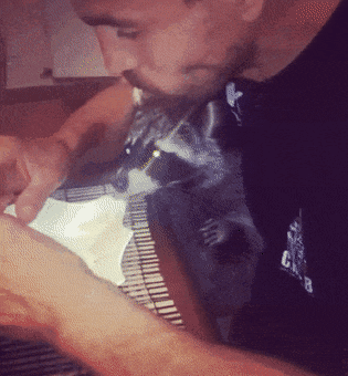 gifdump_3568_14.gif