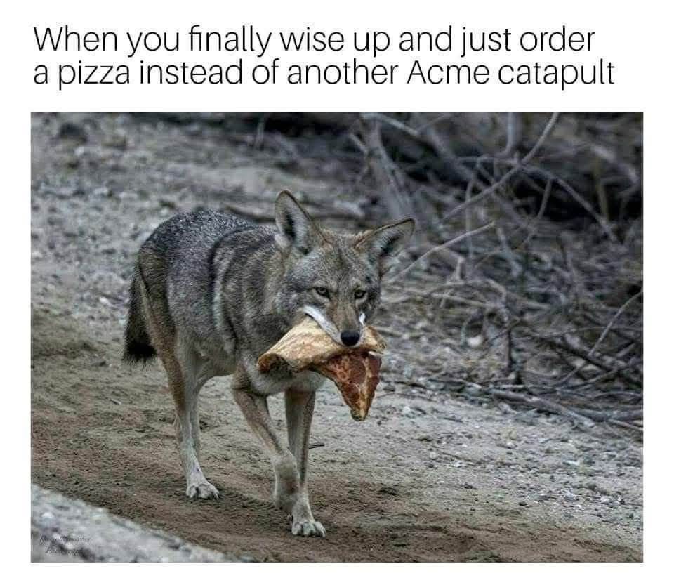 wiseup.jpeg