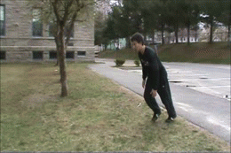 7D6L.gif