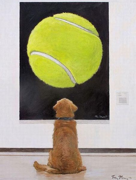 picdump_1221_48.jpg
