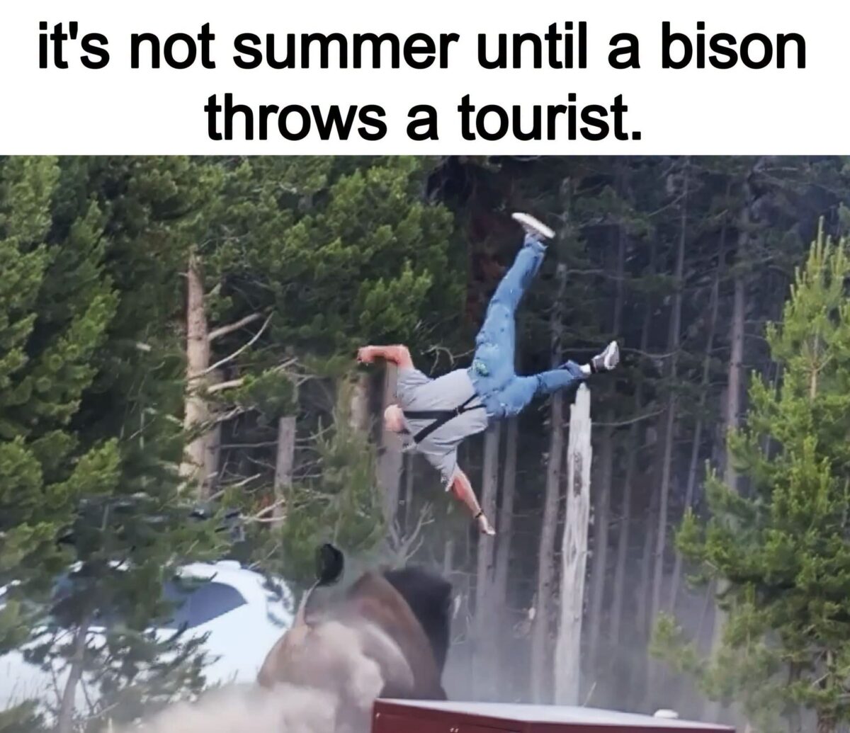 Its-ot-summer.jpeg