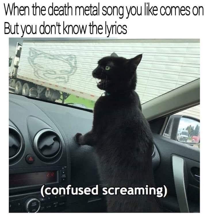 screaming.jpeg