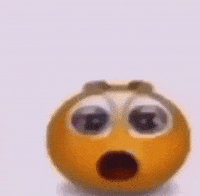 IMG_3941.gif
