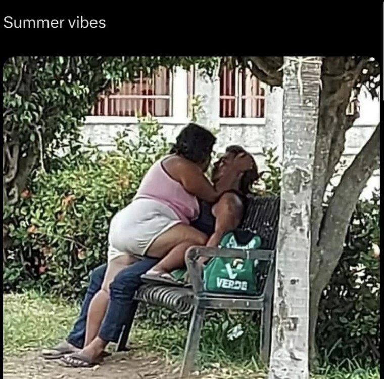 Summer-1.jpg