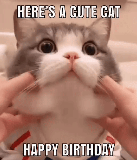 IMG_0583.gif