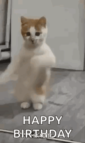 IMG_0584.gif