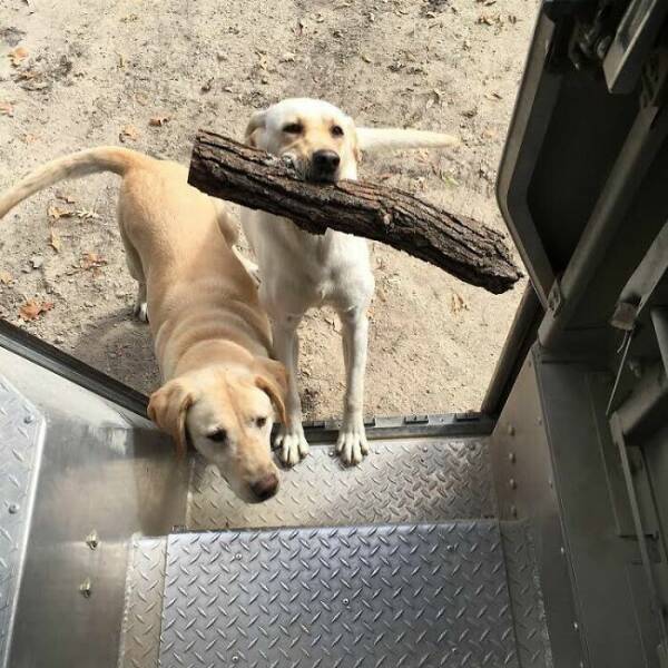ups_03.jpg