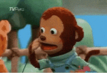 what-monkey.gif