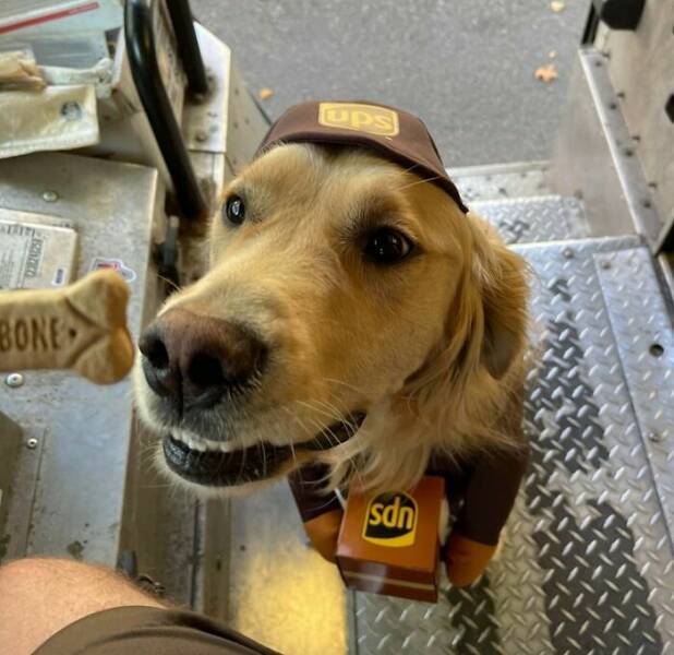 ups_45.jpg