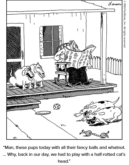 pups today.png