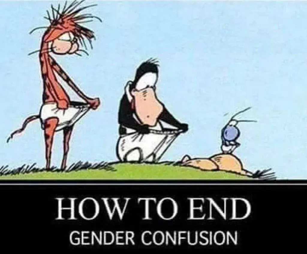 a3ad9.jpg