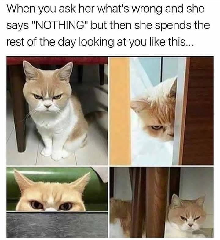 whats-wrong.jpg