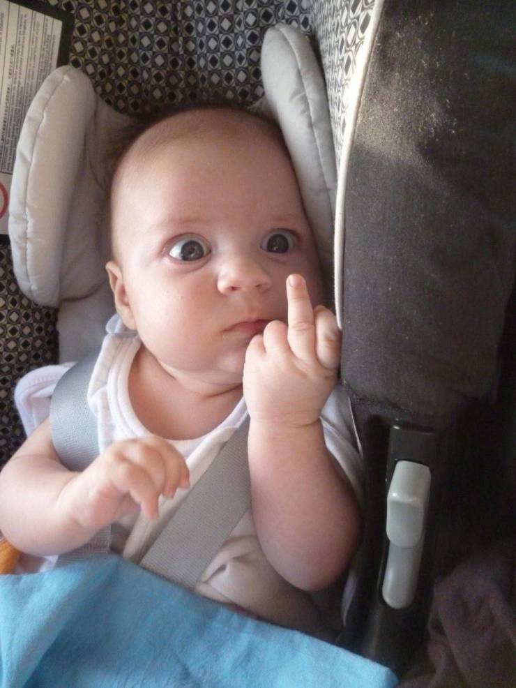 picdump_3366_34.jpg