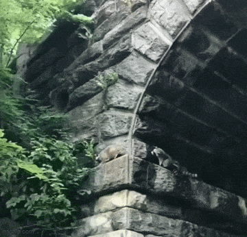 gifdump_05.gif