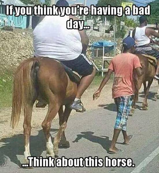 picdump_1057_45.jpg